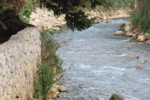 الصفحة الرئيسية
